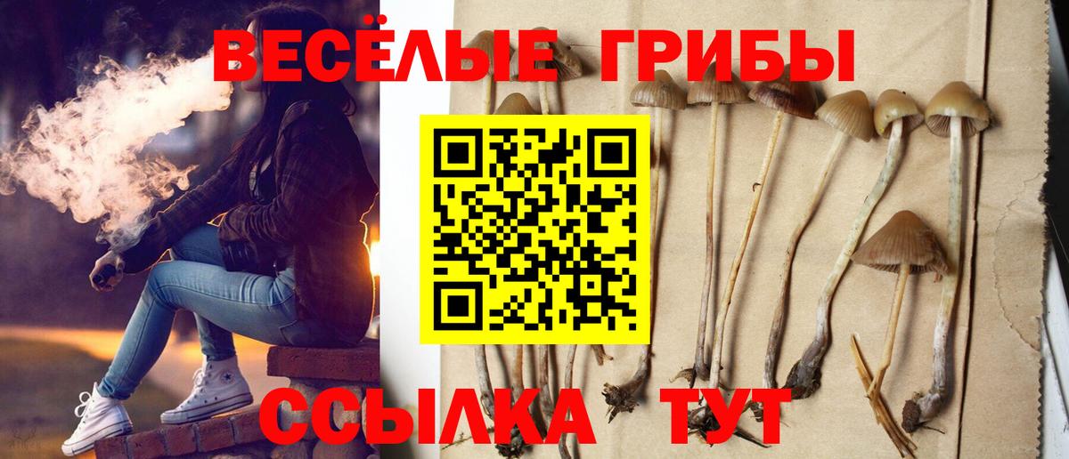 Галлюциногенные грибы ЛСД Батайск